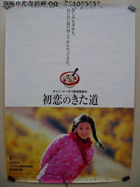 希尔德斯海姆大学学士毕业证